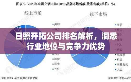 日照开拓公司排名解析,洞悉行业地位与竞争力优势