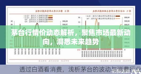 茅台行情价动态解析,聚焦市场最新动向,洞悉未来趋势