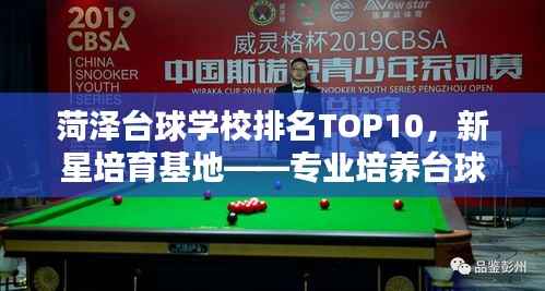 菏泽台球学校排名TOP10,新星培育基地——专业培养台球新星