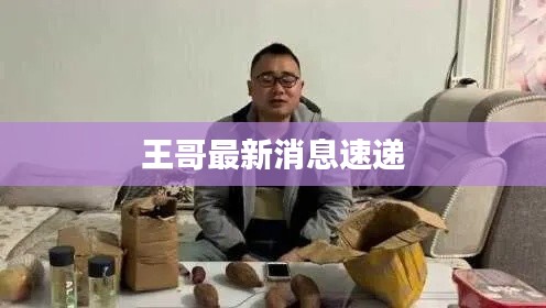 飞珠溅玉 第2页