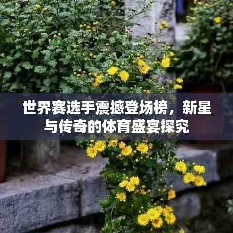 世界赛选手震撼登场榜,新星与传奇的体育盛宴探究