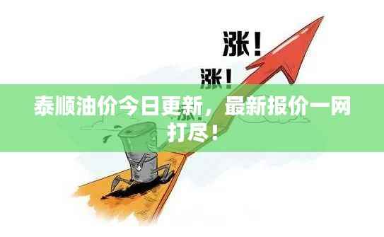 泰顺油价今日更新,最新报价一网打尽!