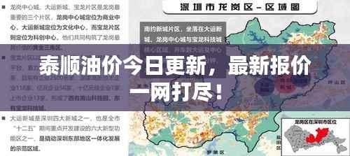 泰顺油价今日更新,最新报价一网打尽!