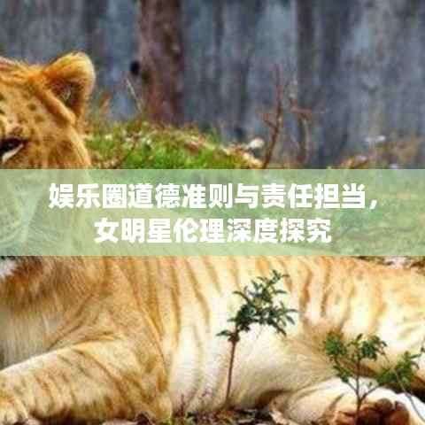 娱乐圈道德准则与责任担当,女明星伦理深度探究