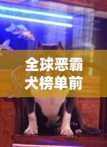 全球恶霸犬榜单前十名揭晓!