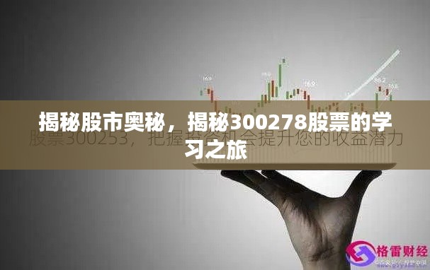 揭秘股市奥秘,揭秘300278股票的学习之旅