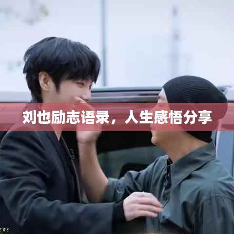 刘也励志语录,人生感悟分享