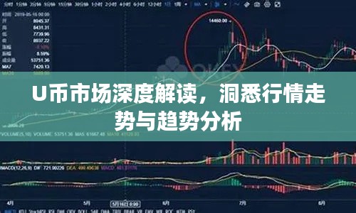 U币市场深度解读,洞悉行情走势与趋势分析
