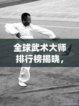 全球武术大师排行榜揭晓,顶尖高手尽在其中!