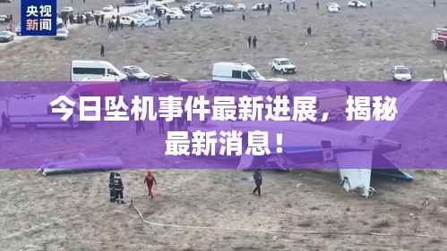今日坠机事件最新进展,揭秘最新消息!
