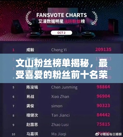 文山粉丝榜单揭秘,最受喜爱的粉丝前十名荣耀揭晓