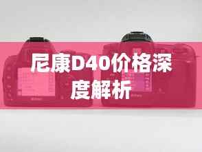 尼康D40价格深度解析