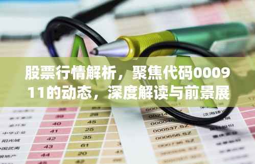 股票行情解析，聚焦代码000911的动态，深度解读与前景展望