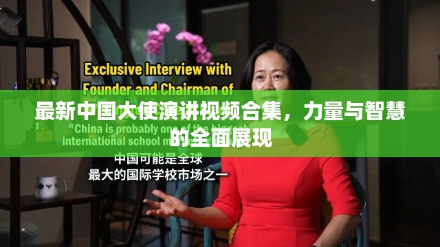 最新中国大使演讲视频合集,力量与智慧的全面展现