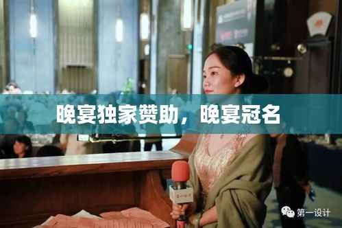 晚宴独家赞助,晚宴冠名