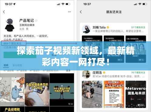 探索茄子视频新领域,最新精彩内容一网打尽!