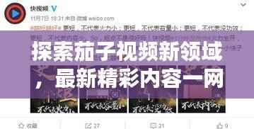 探索茄子视频新领域,最新精彩内容一网打尽!