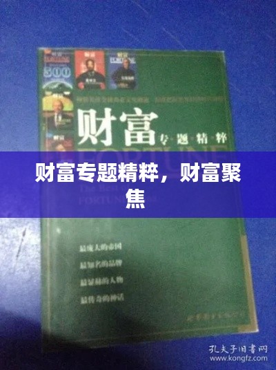 财富专题精粹,财富聚焦
