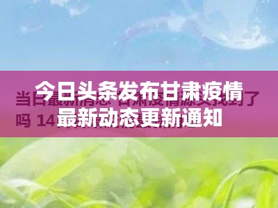 今日头条发布甘肃疫情最新动态更新通知
