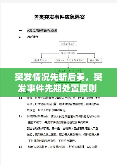 突发情况先斩后奏,突发事件先期处置原则