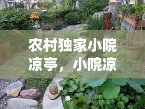 农村独家小院凉亭,小院凉亭设置位置有说法吗?