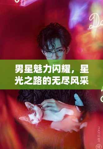 男星魅力闪耀,星光之路的无尽风采