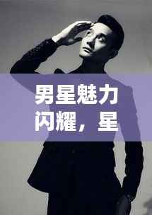 男星魅力闪耀,星光之路的无尽风采