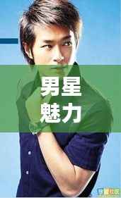 男星魅力闪耀,星光之路的无尽风采
