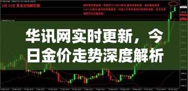 华讯网实时更新,今日金价走势深度解析
