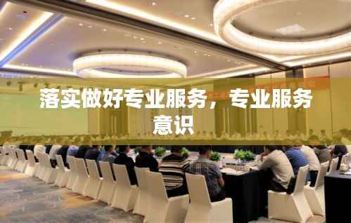 落实做好专业服务,专业服务意识