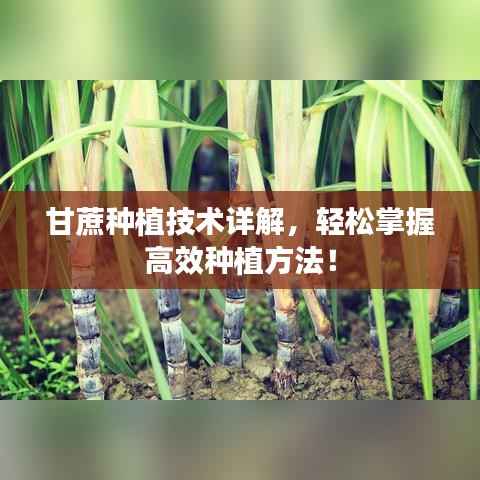 继晷焚膏 第2页