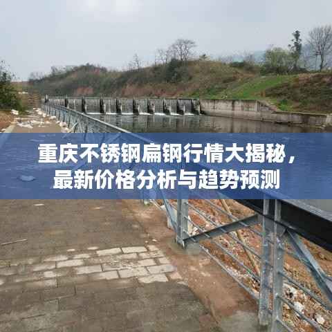 重庆不锈钢扁钢行情大揭秘,最新价格分析与趋势预测