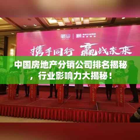 中国房地产分销公司排名揭秘,行业影响力大揭秘!