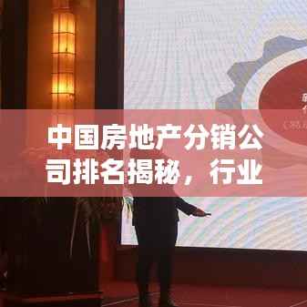 中国房地产分销公司排名揭秘,行业影响力大揭秘!