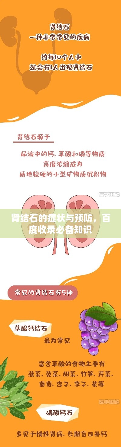 肾结石的症状与预防,百度收录必备知识