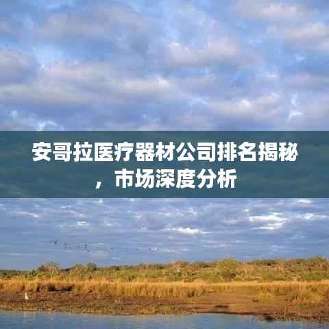 安哥拉医疗器材公司排名揭秘,市场深度分析