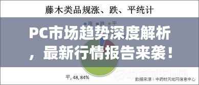 PC市场趋势深度解析,最新行情报告来袭!