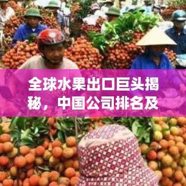 全球水果出口巨头揭秘,中国公司排名及全球市场影响力分析
