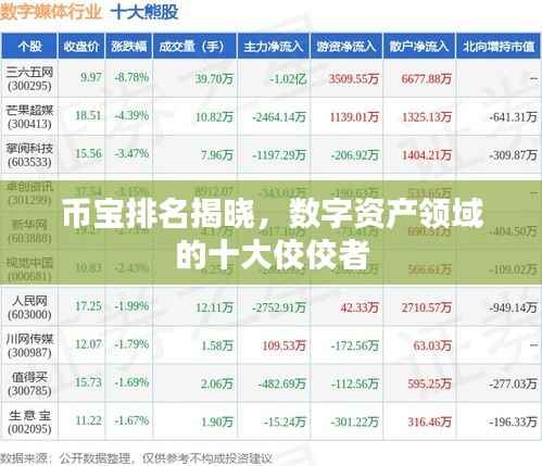 币宝排名揭晓,数字资产领域的十大佼佼者