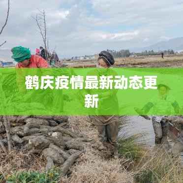 鹤庆疫情最新动态更新