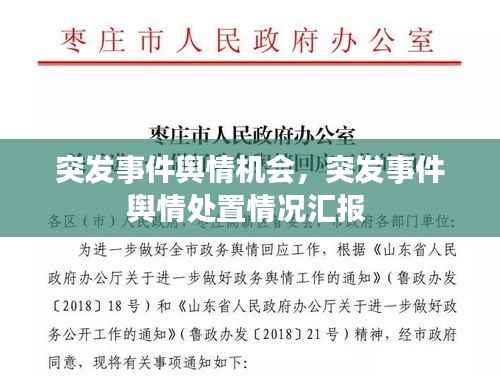 突发事件舆情机会,突发事件舆情处置情况汇报