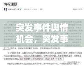 突发事件舆情机会,突发事件舆情处置情况汇报