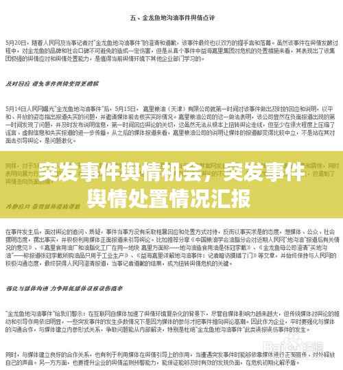 突发事件舆情机会,突发事件舆情处置情况汇报
