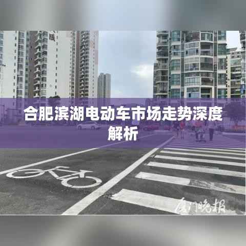 合肥滨湖电动车市场走势深度解析