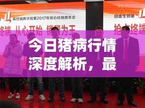 今日猪病行情深度解析,最新动态一网打尽