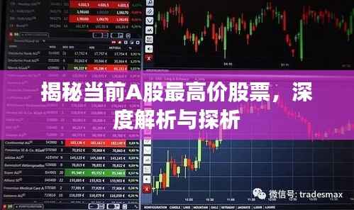 揭秘当前A股最高价股票,深度解析与探析