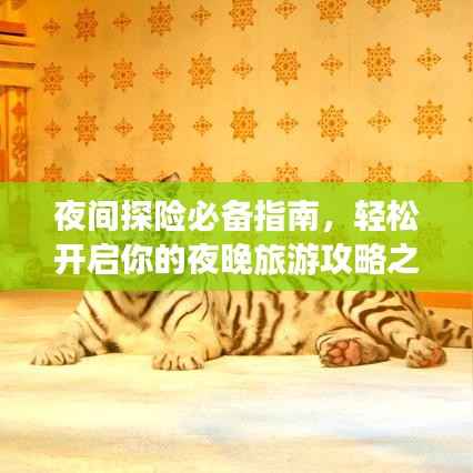 夜间探险必备指南,轻松开启你的夜晚旅游攻略之旅!