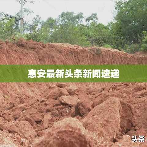 惠安最新头条新闻速递