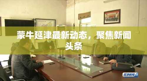 蒙牛延津最新动态,聚焦新闻头条