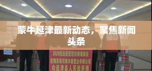 蒙牛延津最新动态,聚焦新闻头条